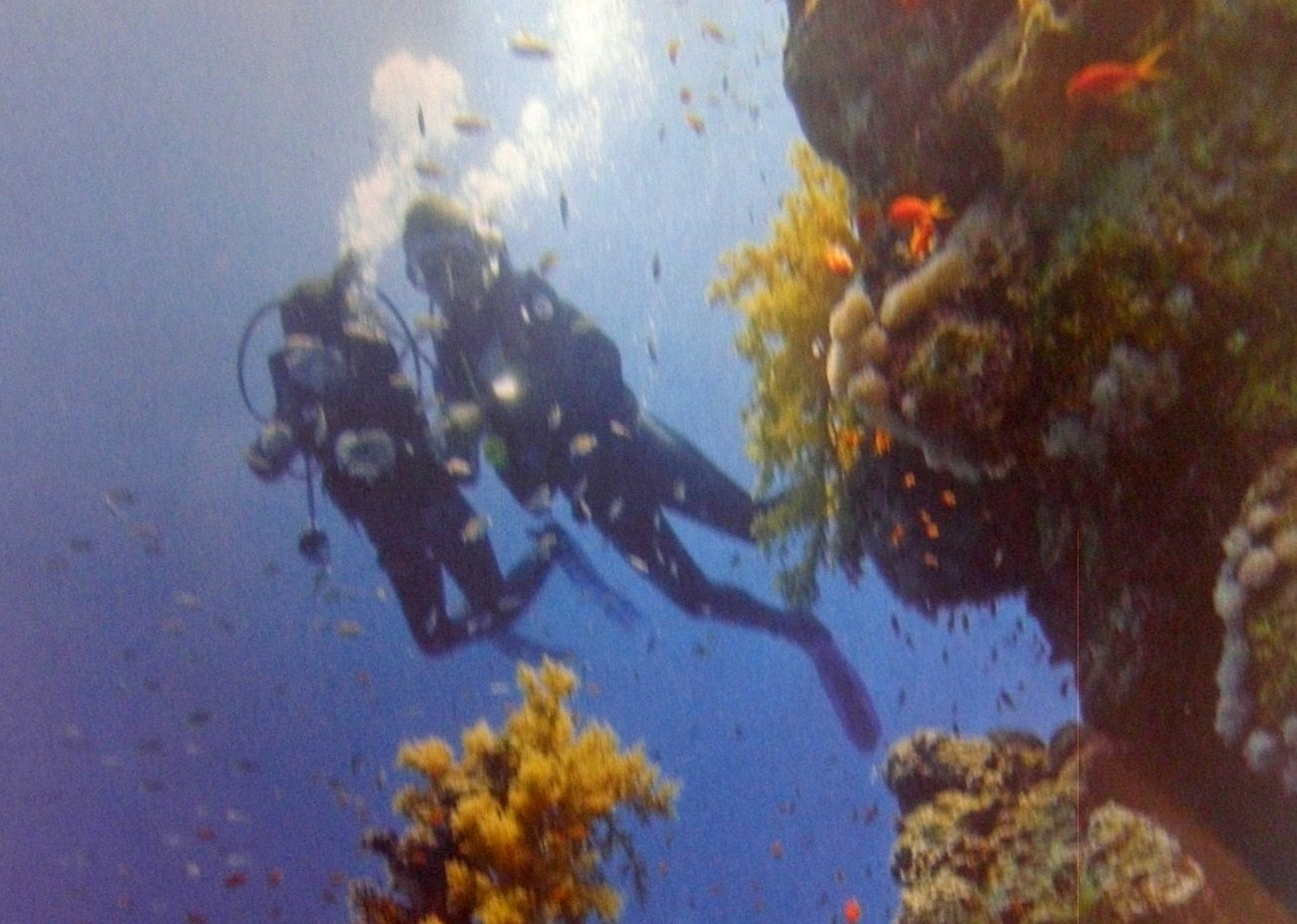 2Divers